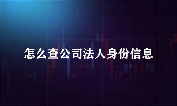 怎么查公司法人身份信息
