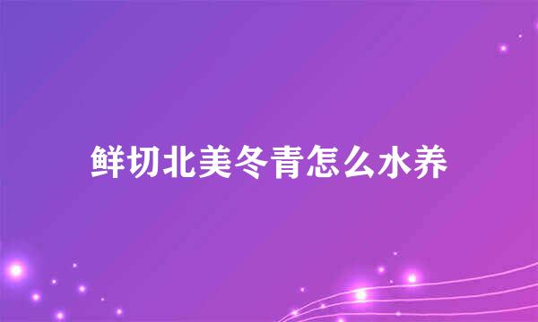 鲜切北美冬青怎么水养