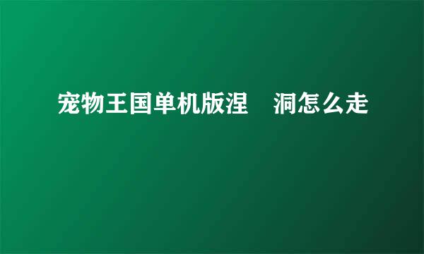 宠物王国单机版涅槃洞怎么走