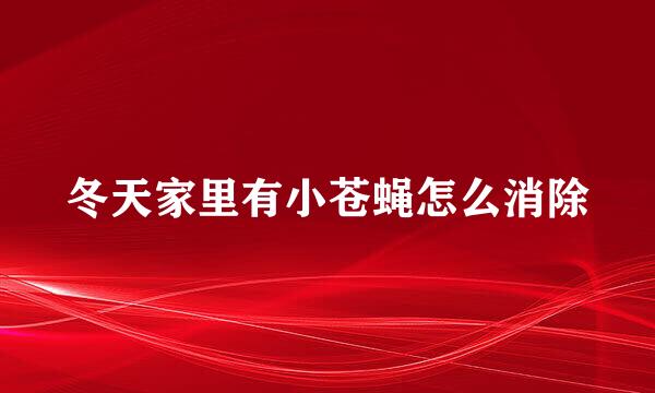 冬天家里有小苍蝇怎么消除