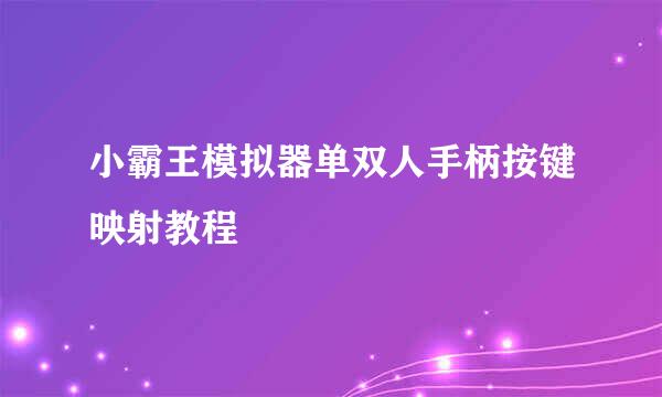 小霸王模拟器单双人手柄按键映射教程