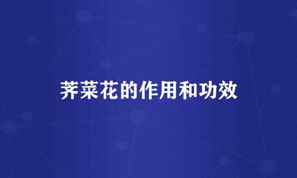 荠菜花的作用和功效