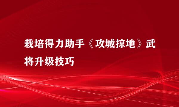 栽培得力助手《攻城掠地》武将升级技巧