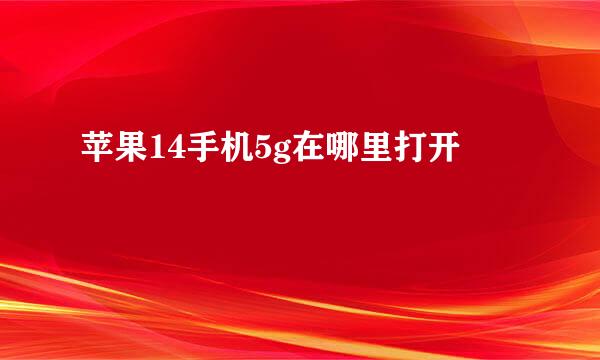 苹果14手机5g在哪里打开