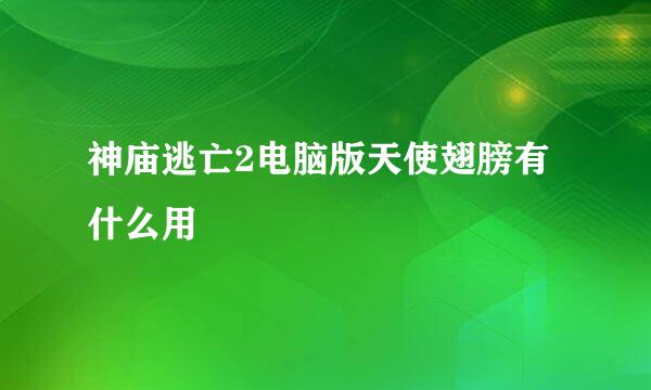 神庙逃亡2电脑版天使翅膀有什么用