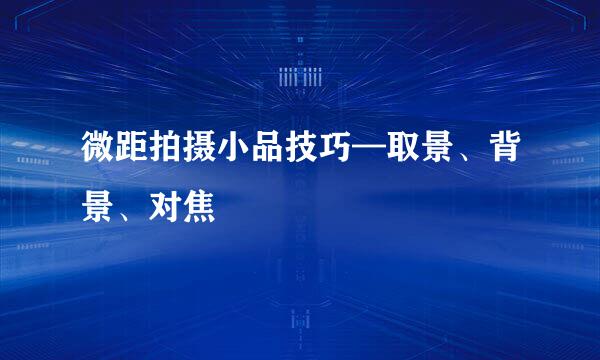微距拍摄小品技巧—取景、背景、对焦