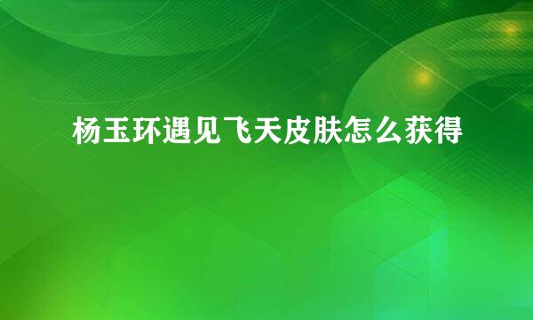 杨玉环遇见飞天皮肤怎么获得