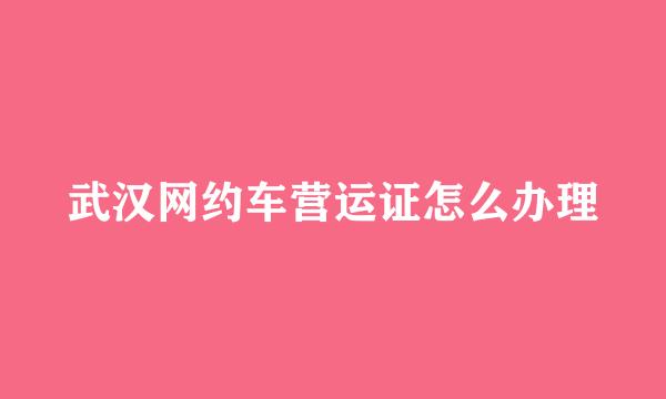 武汉网约车营运证怎么办理
