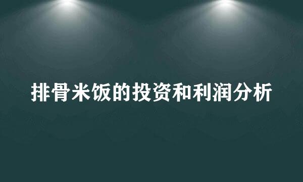 排骨米饭的投资和利润分析