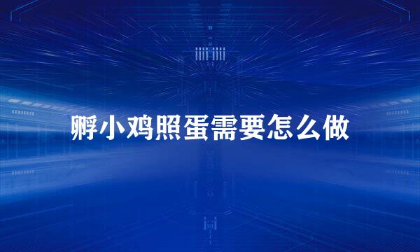 孵小鸡照蛋需要怎么做