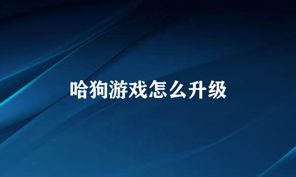 哈狗游戏怎么升级