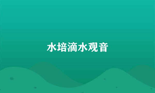 水培滴水观音