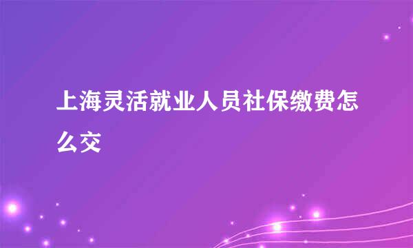 上海灵活就业人员社保缴费怎么交