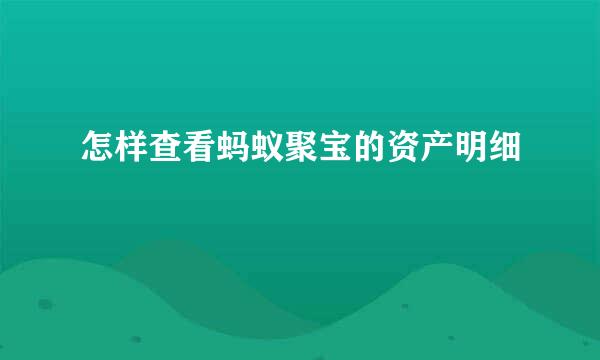 怎样查看蚂蚁聚宝的资产明细