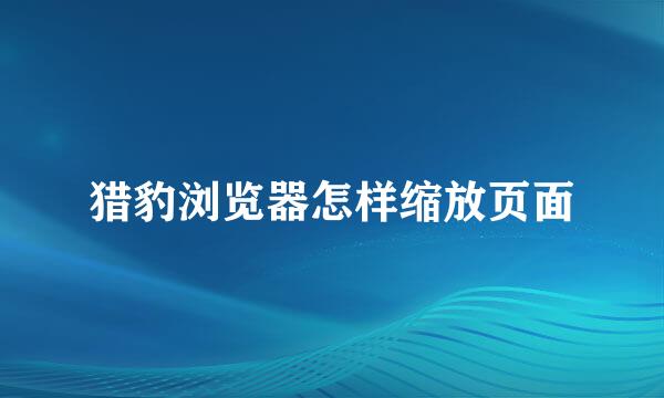 猎豹浏览器怎样缩放页面