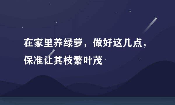 在家里养绿萝，做好这几点，保准让其枝繁叶茂