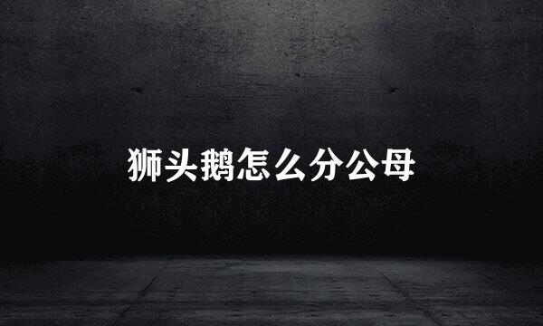狮头鹅怎么分公母