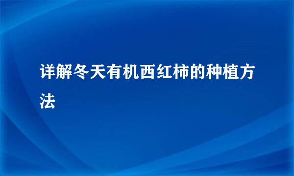 详解冬天有机西红柿的种植方法