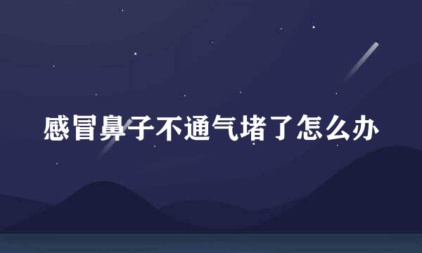 感冒鼻子不通气堵了怎么办