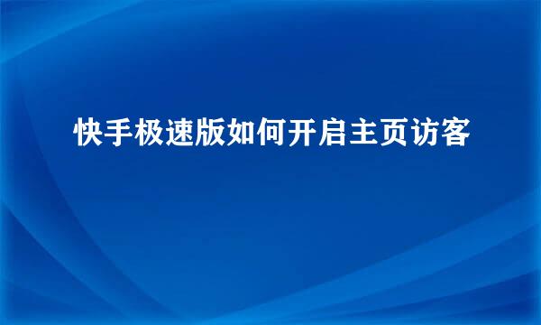 快手极速版如何开启主页访客