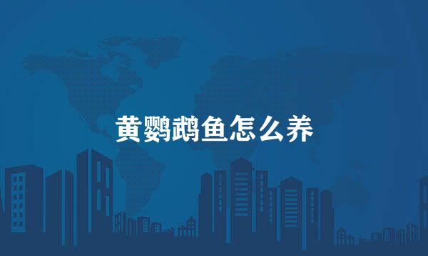 黄鹦鹉鱼怎么养