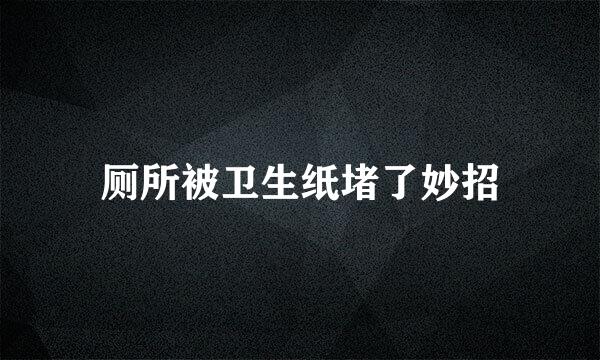 厕所被卫生纸堵了妙招