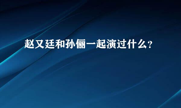 赵又廷和孙俪一起演过什么？