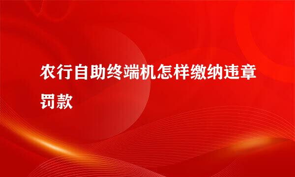 农行自助终端机怎样缴纳违章罚款
