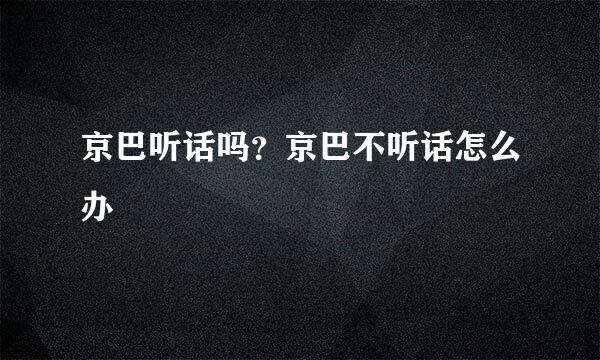 京巴听话吗?京巴不听话怎么办