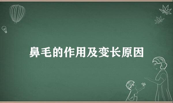 鼻毛的作用及变长原因