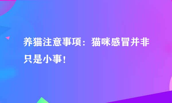 养猫注意事项：猫咪感冒并非只是小事！