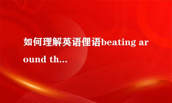 如何理解英语俚语beating around the bush