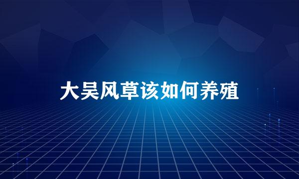 大吴风草该如何养殖