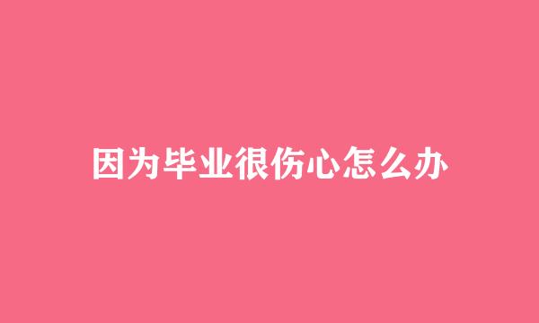 因为毕业很伤心怎么办