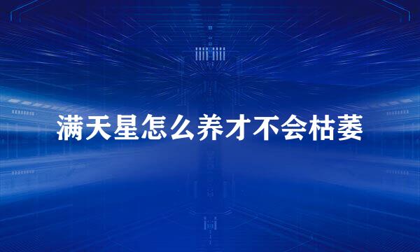 满天星怎么养才不会枯萎