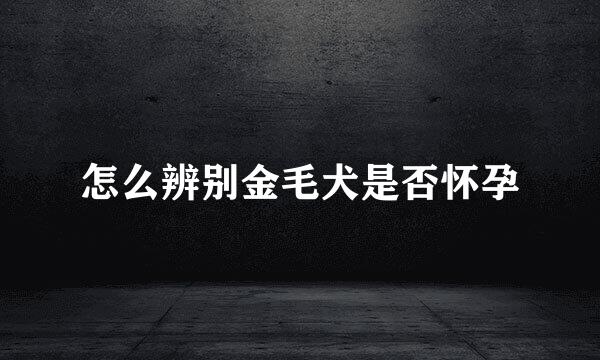 怎么辨别金毛犬是否怀孕
