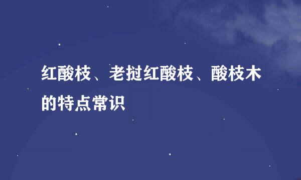 红酸枝、老挝红酸枝、酸枝木的特点常识
