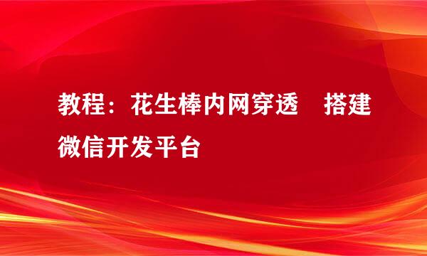 教程：花生棒内网穿透 搭建微信开发平台