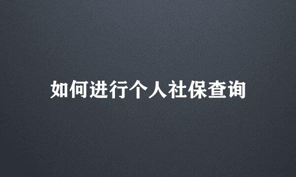 如何进行个人社保查询