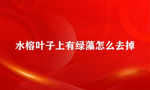 水榕叶子上有绿藻怎么去掉