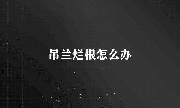 吊兰烂根怎么办