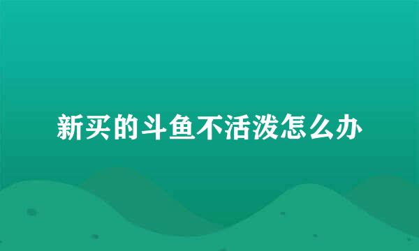 新买的斗鱼不活泼怎么办