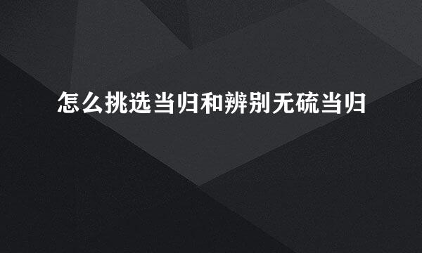 怎么挑选当归和辨别无硫当归