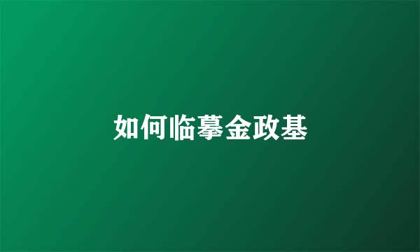 如何临摹金政基