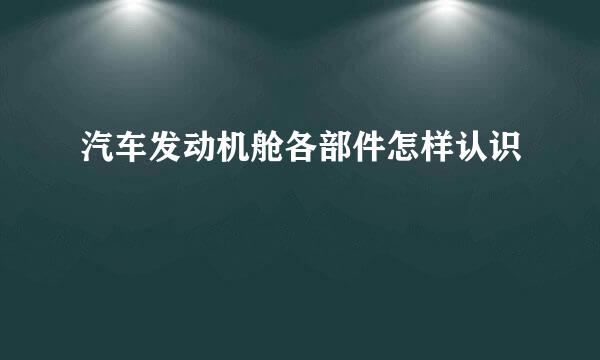 汽车发动机舱各部件怎样认识