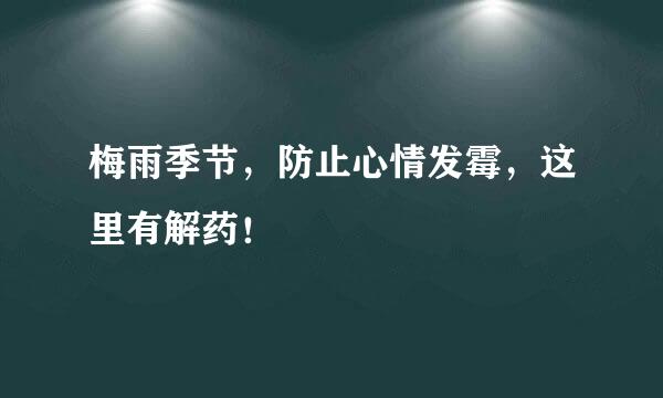 梅雨季节，防止心情发霉，这里有解药！