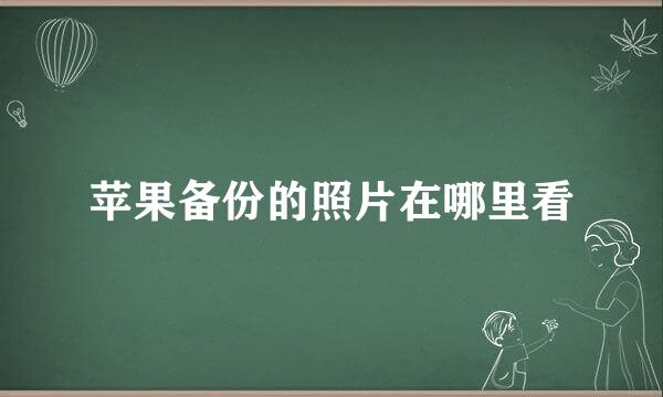 苹果备份的照片在哪里看