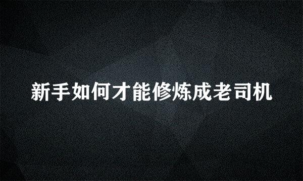 新手如何才能修炼成老司机