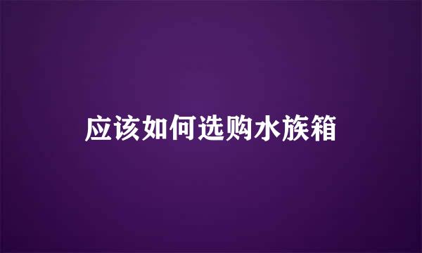 应该如何选购水族箱