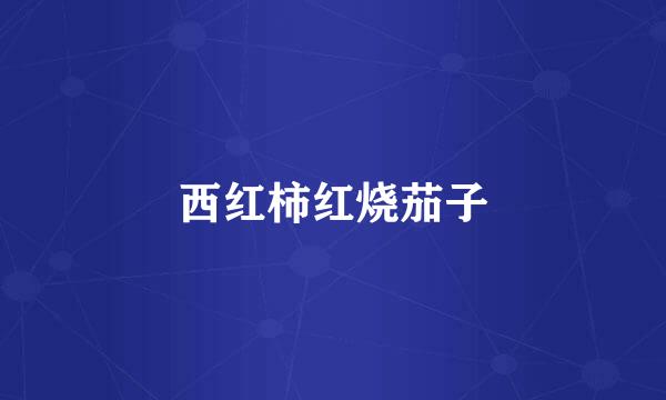 西红柿红烧茄子